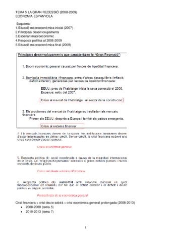 Miniatura del documento TEMA 5 LA GRAN RECESSIÓ.pdf