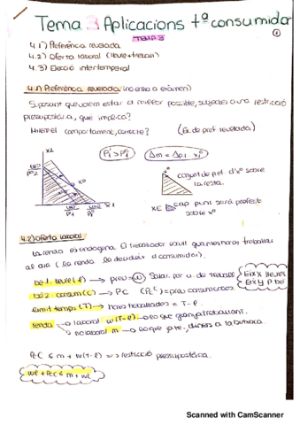 Miniatura del documento MICRO I TEMA 3 APLI TEORIA CONSUMIDOR_.pdf