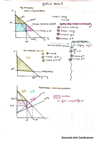Miniatura del documento RESUMEN TEMA 3 + graficos_20190402173845.pdf