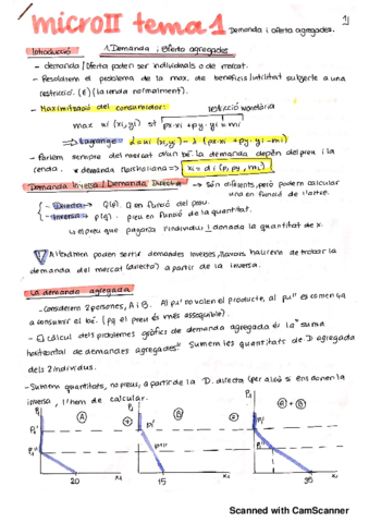 Miniatura del documento TEMA 1 oferta i demanda_20190304160131.pdf