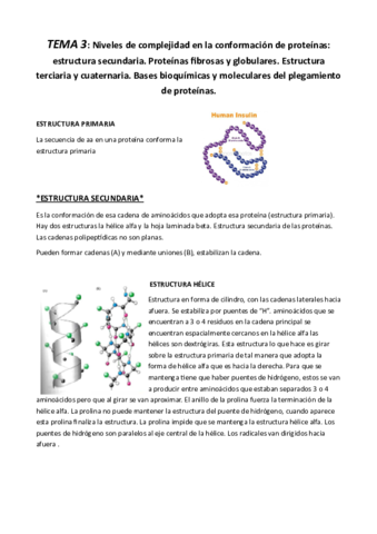 Miniatura del documento TEMA 3 (3).pdf