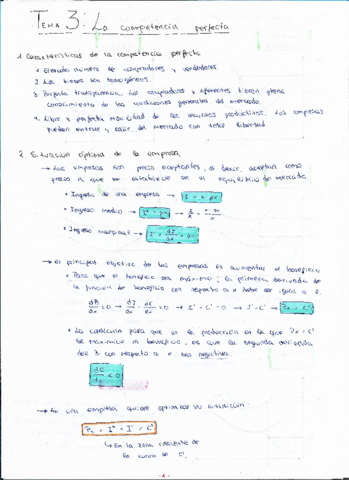 Miniatura del documento TEMA 3.pdf