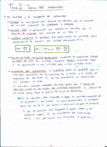 Miniatura del documento TEMA 2.pdf