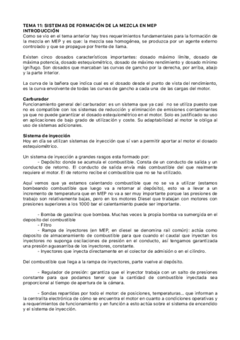 Miniatura del documento TEMA11SISTCOMBMEP.pdf