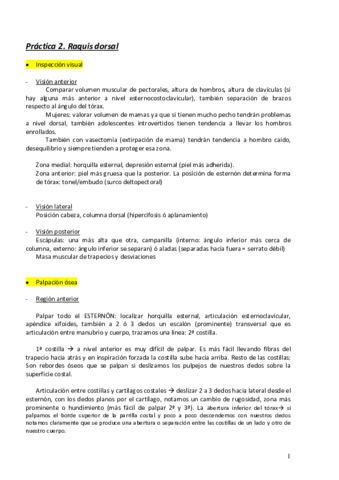 Miniatura del documento Práctica 2. Raquis dorsal.pdf