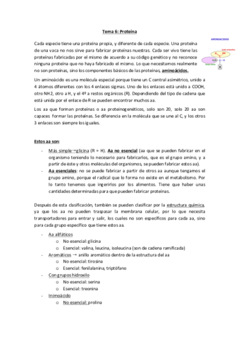 Miniatura del documento Tema-6-limpio.pdf