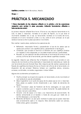 Miniatura del documento Martin_Borrachero_Natalia_Práctica 5.pdf