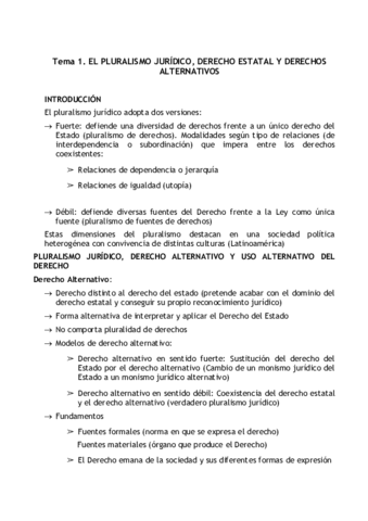 Miniatura del documento plujuridico.pdf