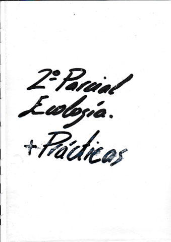 Miniatura del documento final.pdf