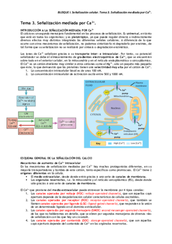 Miniatura del documento BLOQUE-I.pdf