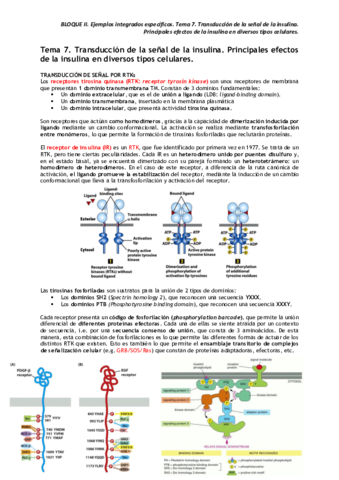 Miniatura del documento BLOQUE-II.pdf