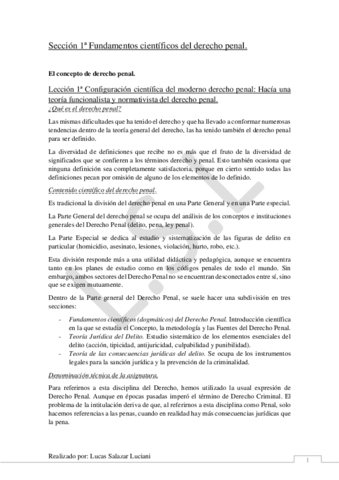 Miniatura del documento Apuntes-Derecho-Penal.pdf