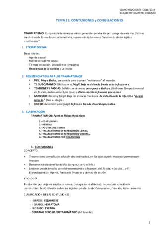 Miniatura del documento T21-CONTUSIONES-y-CONGELACIONES.pdf