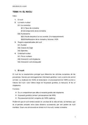 Miniatura del documento TEMA-14.pdf