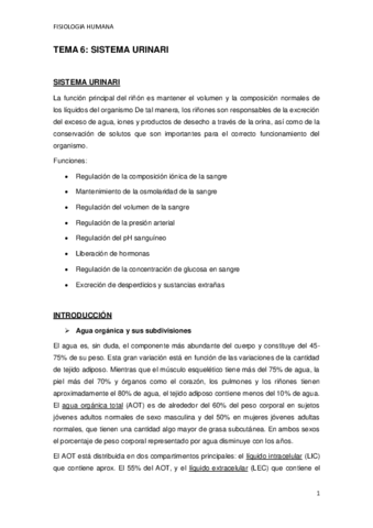Miniatura del documento TEMA-6.pdf