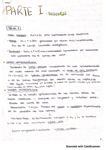 Miniatura del documento resumen-parte1-temas-1234.pdf