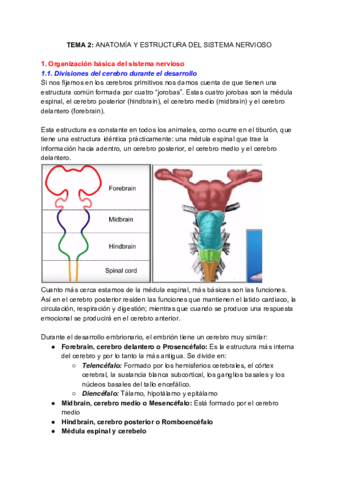 Miniatura del documento NEUROQUIMICA-Tema-2.pdf