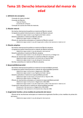 Miniatura del documento Tema-10-Derecho-internacional-del-menor-de-edad.pdf