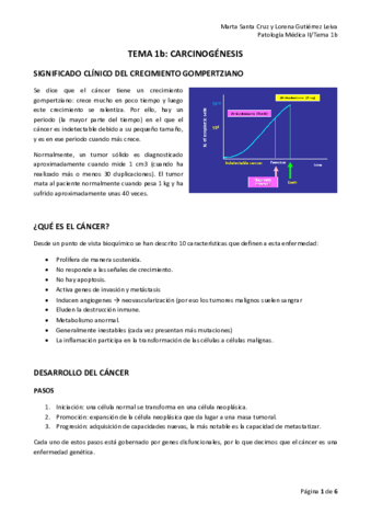 Miniatura del documento T1b-Carcinogenesis.pdf