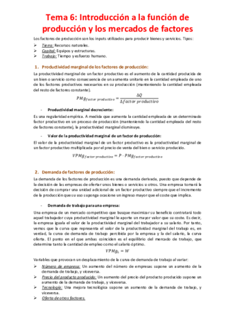 Miniatura del documento Tema-6-Introduccion-a-la-funcion-de-produccion-y-los-mercados-de-factores.pdf