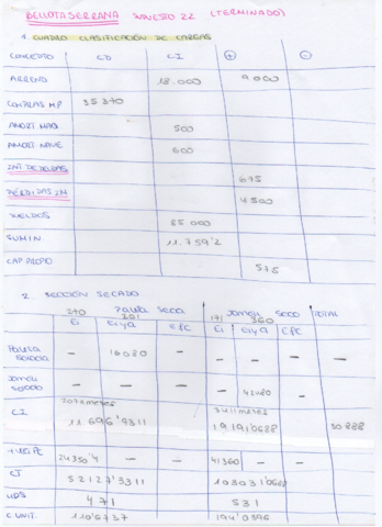Miniatura del documento SOLUCION-BELLOTA-SERRANA.pdf