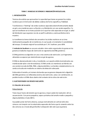 Miniatura del documento TEMA-7-tia.pdf