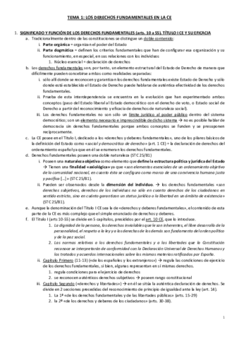 Miniatura del documento TEMA-1-bonito.pdf