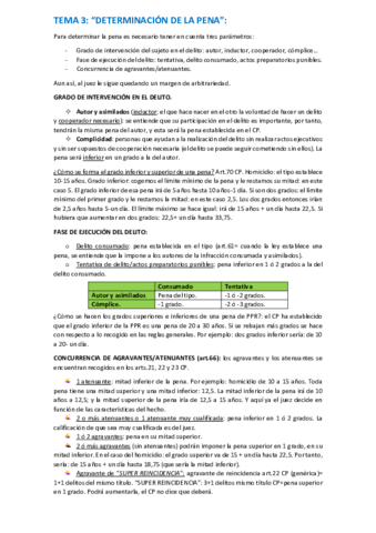 Miniatura del documento tema-3-penal.pdf