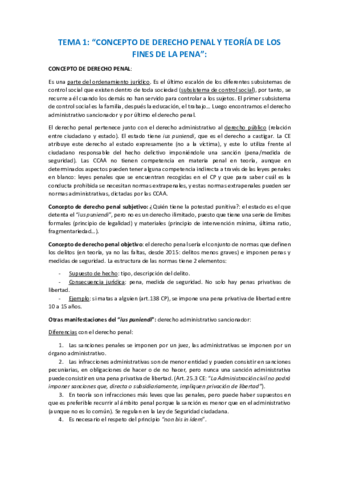 Miniatura del documento tema-1-penal.pdf