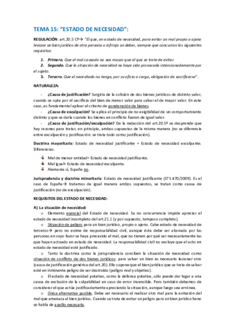 Miniatura del documento tema-15-penal.pdf