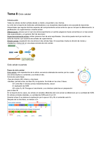 Miniatura del documento Tema-8-1.pdf