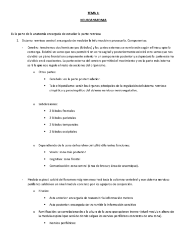 Miniatura del documento TEMA-4-NEUROANATOMIA.pdf