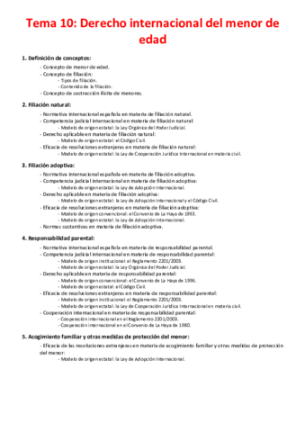 Miniatura del documento Tema-10-Derecho-internacional-del-menor-de-edad.pdf