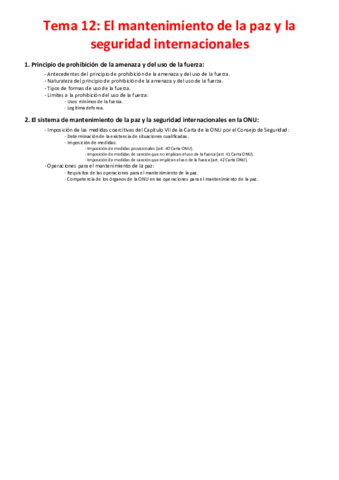 Miniatura del documento Tema-12-El-mantenimiento-de-la-paz-y-la-seguridad-internacionales.pdf