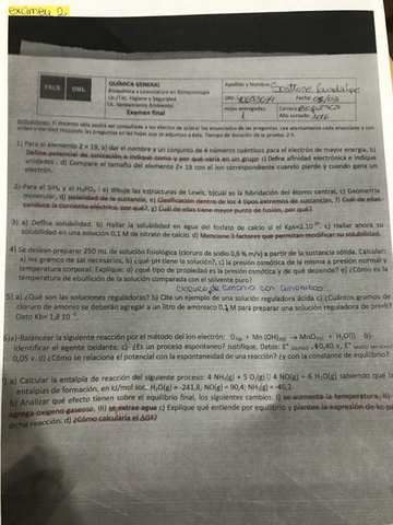 Miniatura del documento WhatsApp-Image-2019-07-11-at-13.jpg