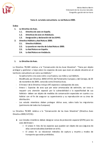 Miniatura del documento Tema-6.pdf