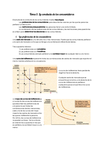 Miniatura del documento Tema-3.pdf