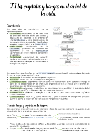 Miniatura del documento Tema-1-Los-vegetales-en-el-arbol-de-la-vida.pdf