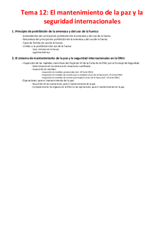Miniatura del documento Tema-12-El-mantenimiento-de-la-paz-y-la-seguridad-internacionales.pdf