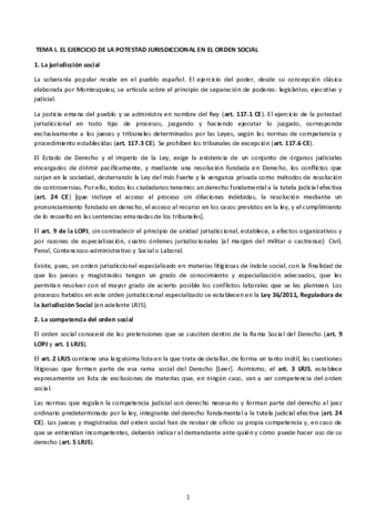 Miniatura del documento Proceso-ordinario-Temas-1-12.pdf