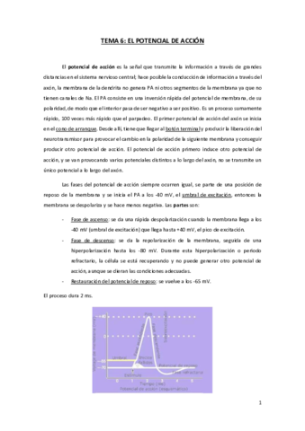 Miniatura del documento TEMA-6-FN.pdf