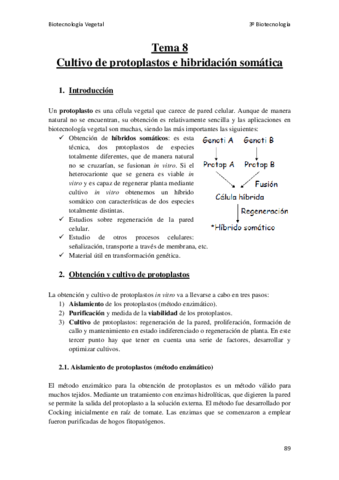 Miniatura del documento Tema-8.pdf