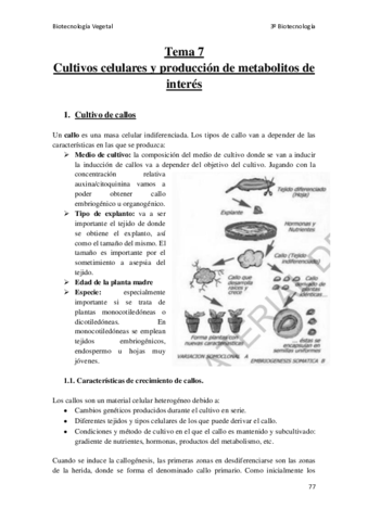 Miniatura del documento Tema-7.pdf