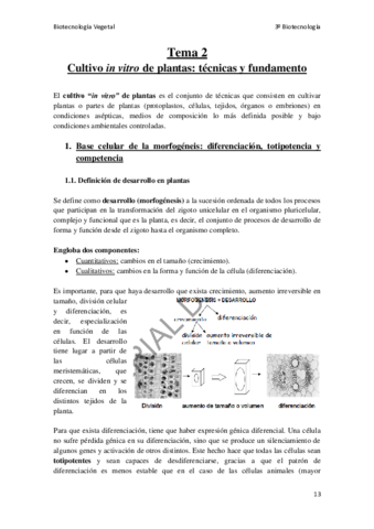 Miniatura del documento Tema-2.pdf