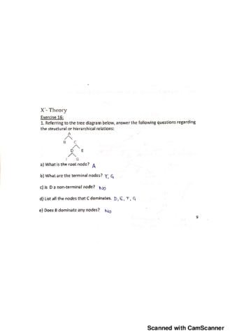 Miniatura del documento Pack-2-X-Theory.pdf
