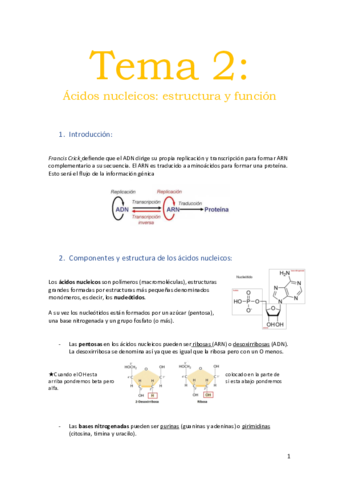 Miniatura del documento BIOQUIMICA-T-1-2.pdf