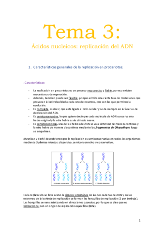 Miniatura del documento BIOQUIMICA-T-2-3.pdf