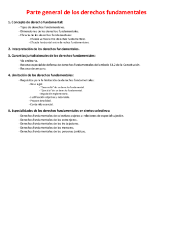 Miniatura del documento Parte-general-de-los-derechos-fundamentales.pdf
