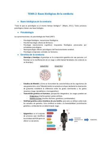 Miniatura del documento 2.pdf