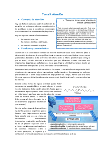 Miniatura del documento 5.pdf